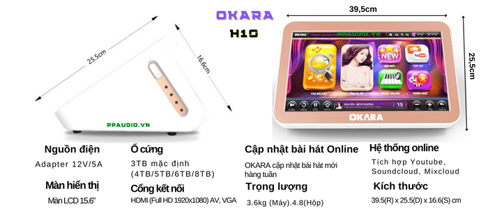 đầu karaoke H10