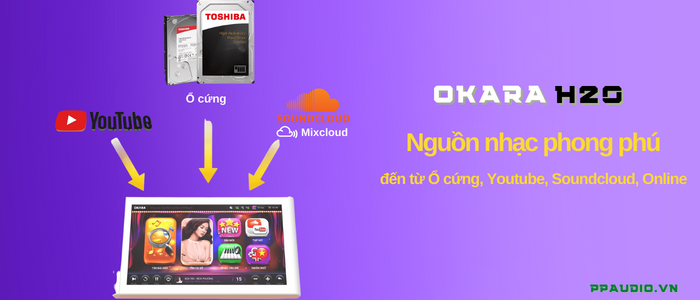 đầu liền màn okara H20