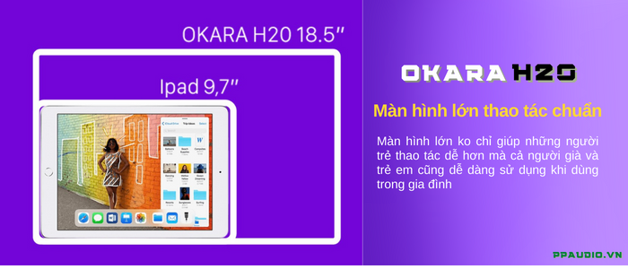 Đầu Liền Màn OKARA H20