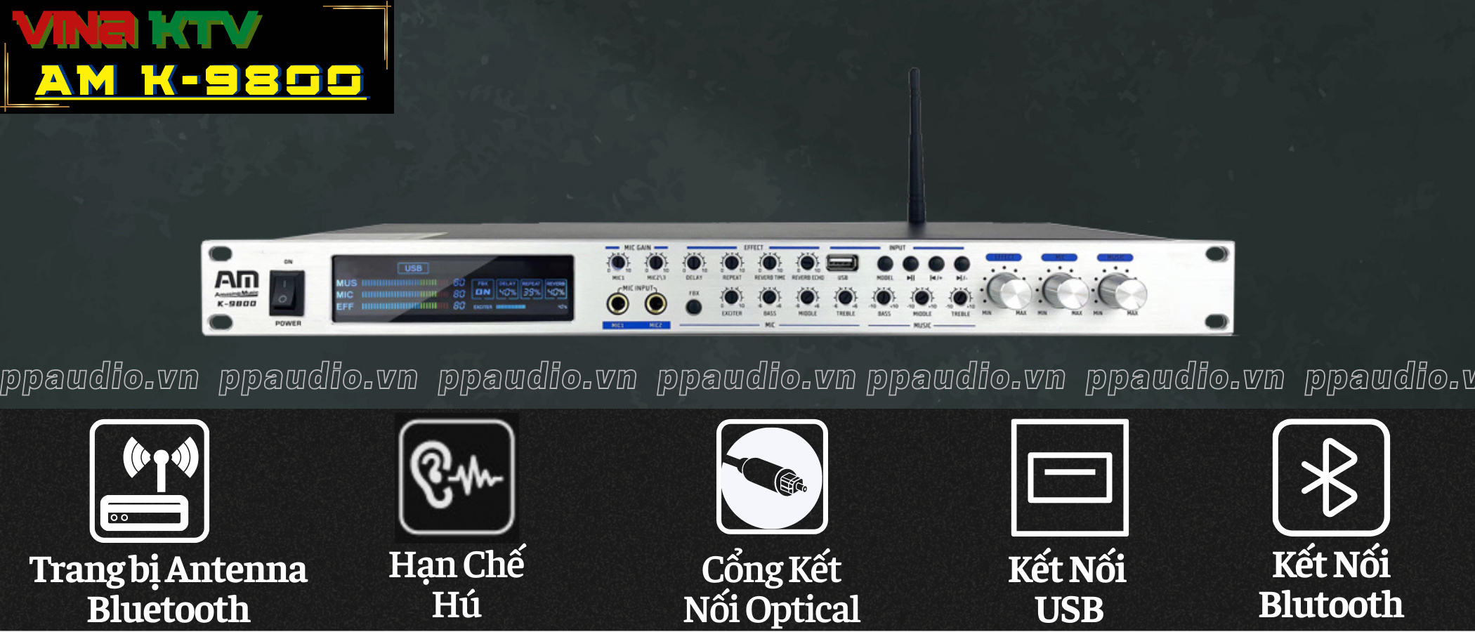 Vang AM K-9800