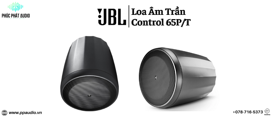 https://ppaudio.vn/loa-tha-tran-jbl-control-65pt