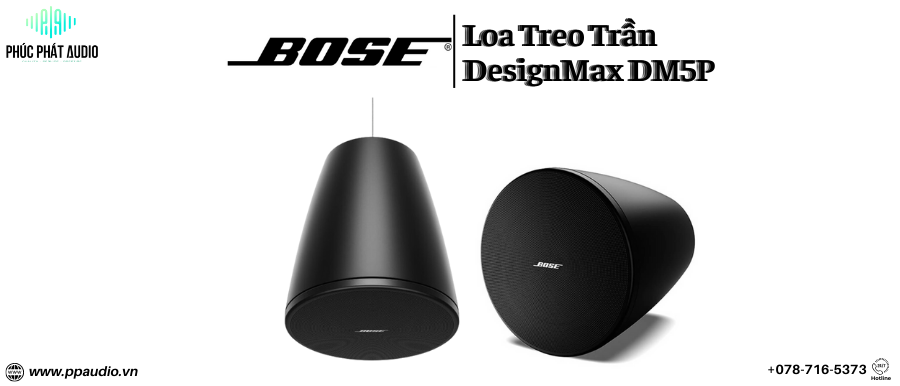 http://ppaudio.vn/loa-bose-designmax-dm5p