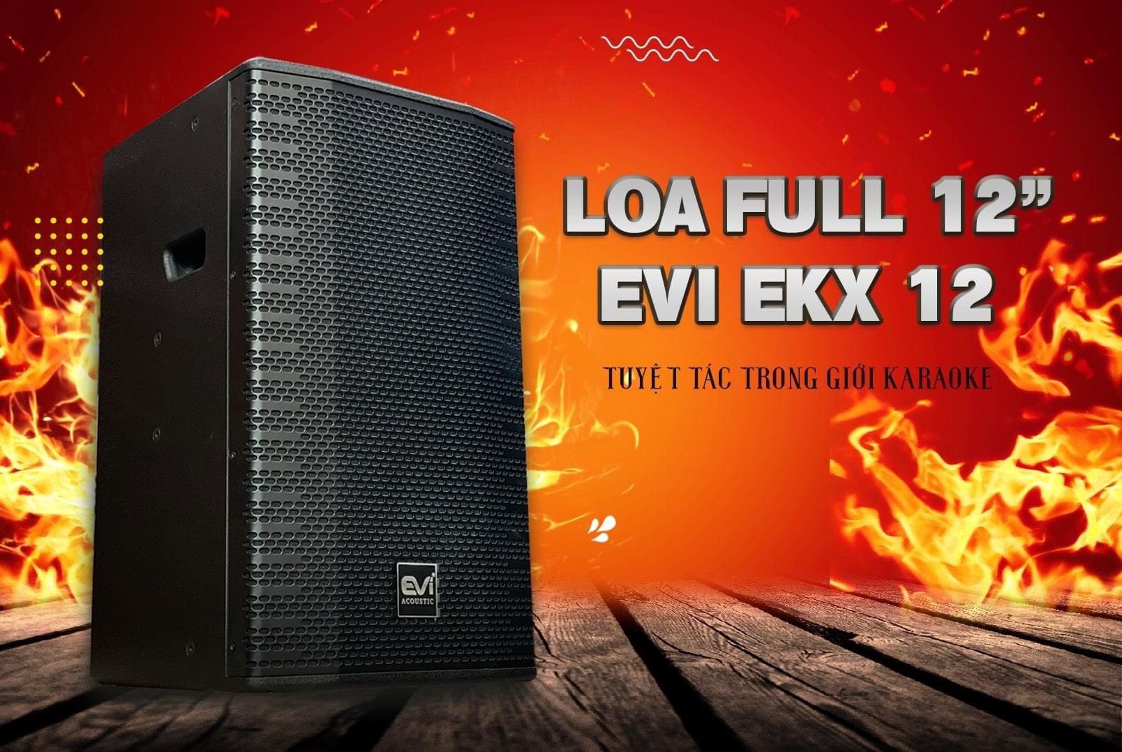 loa EVI EKX-12