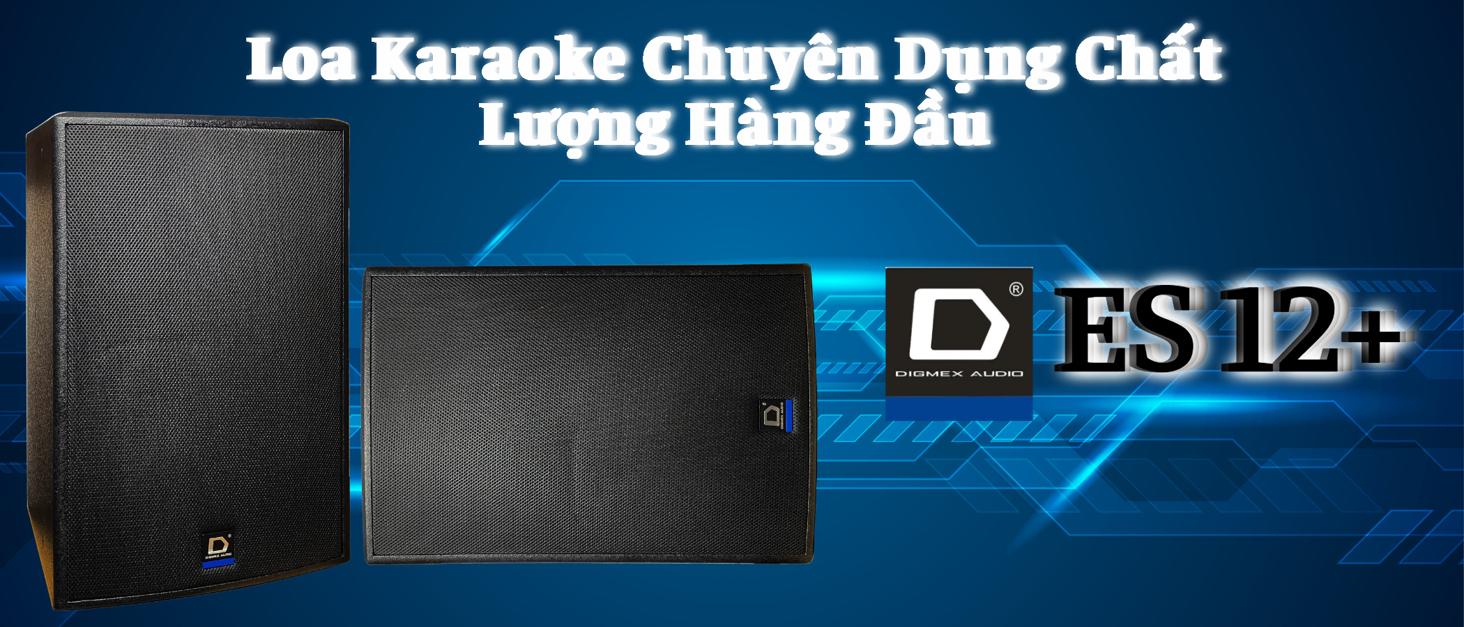 Loa DMX ES-12+ Sóng Nhạc Phân Phối