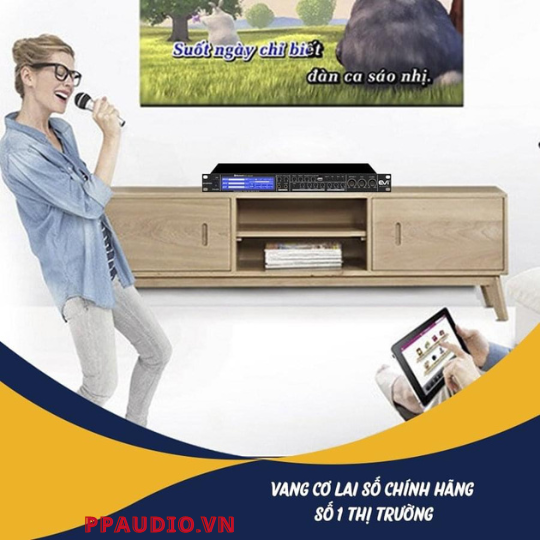 vang cơ lai số Evi 1202 pro