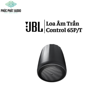 Loa Thả trần JBL Control 65P/T 