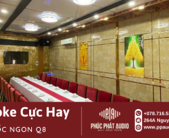 Lắp Đặt Dàn Karaoke Cực Hay Trị Giá Hơn 48 Triệu Đồng Cho Quán Ốc Ngon  ở Quận 8 , Tp.Hồ Chí Minh 