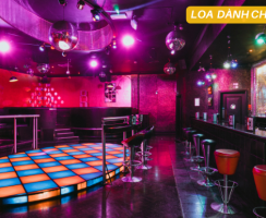 Loa Dành Cho Quán PUB Là Gì ?