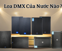 Loa DMX Của Nước Nào ?