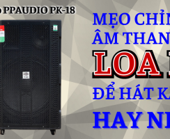 Mẹo chỉnh âm thanh loa kéo để hát karaoke hay nhất