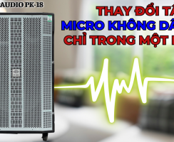 Cách thay đổi tần số micro không dây loa kéo chỉ trong 1 nốt nhạc