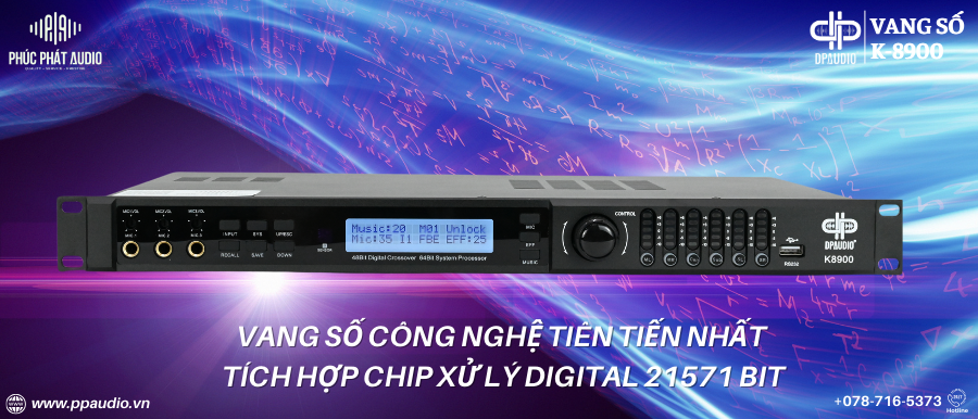 Vang số DPAUDIO K-8900