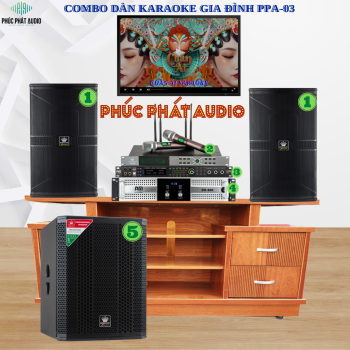 Combo Dàn Karaoke Gia Đình PPA-03