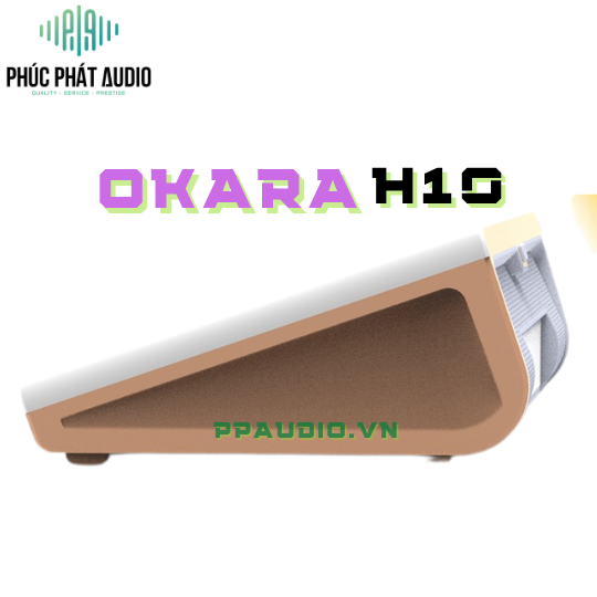 Đầu Liền Màn OKARA H20 4TB