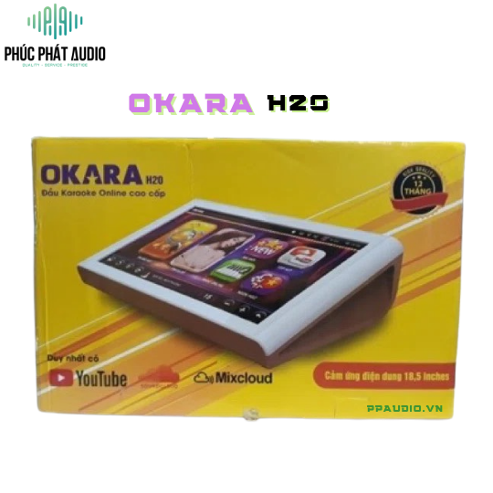 Đầu Liền Màn OKARA H20 4TB