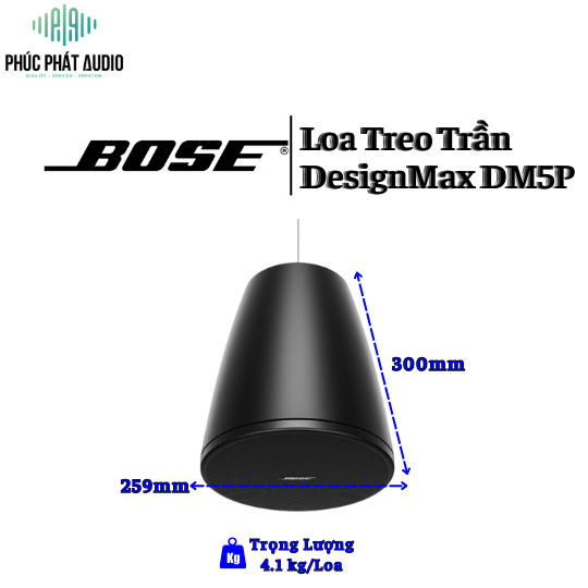 Loa Bose DesignMax DM5P