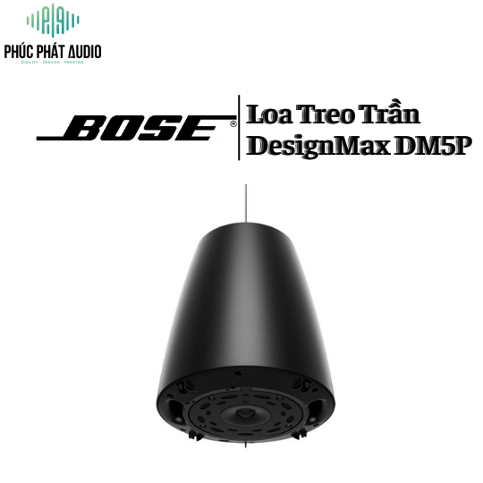 Loa Bose DesignMax DM5P