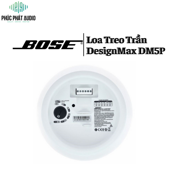 Loa Bose DesignMax DM5P