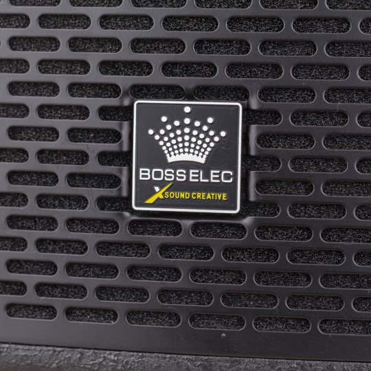 LOA BOSSELEC HD-12
