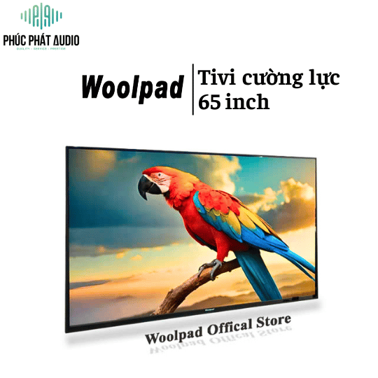 Tivi cường lực Woolpad 65 inch